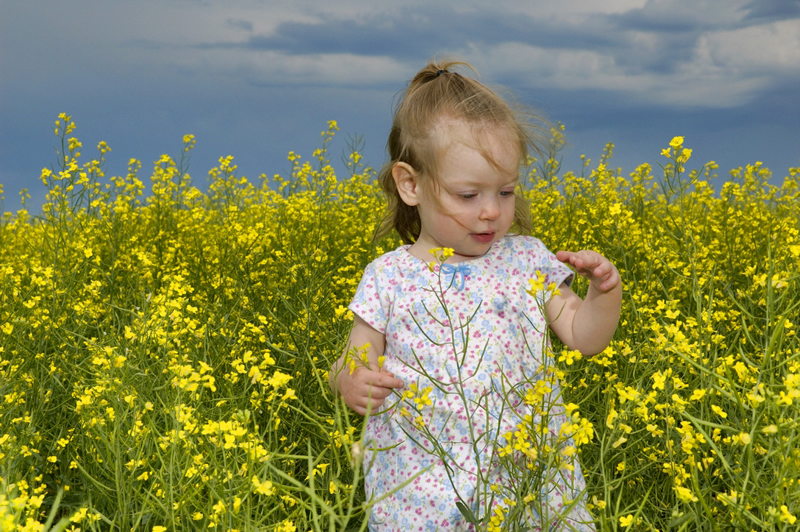 Outstanding in Her Field by Pat Stone